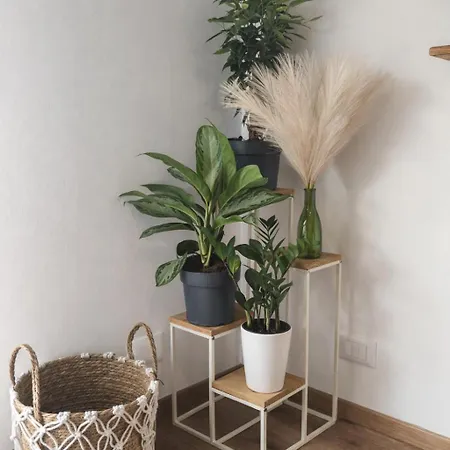 Domus Moeca Apartment *